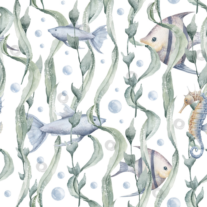 Скачать Подводный бесшовный узор из морских водорослей и рыб. Нарисованная от руки акварельная иллюстрация с морскими животными и растениями на изолированном фоне. Водный орнамент для текстильного дизайна или оберточной бумаги фотосток Ozero