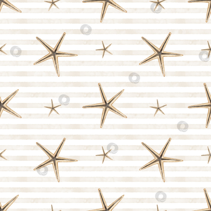 Скачать Бесшовный узор в виде звездной раковины на полосатом фоне. Нарисованная вручную акварельная иллюстрация бежевых ракушек для оберточной бумаги или текстильного оформления в морском стиле. Подводный или пляжный фон с линиями фотосток Ozero