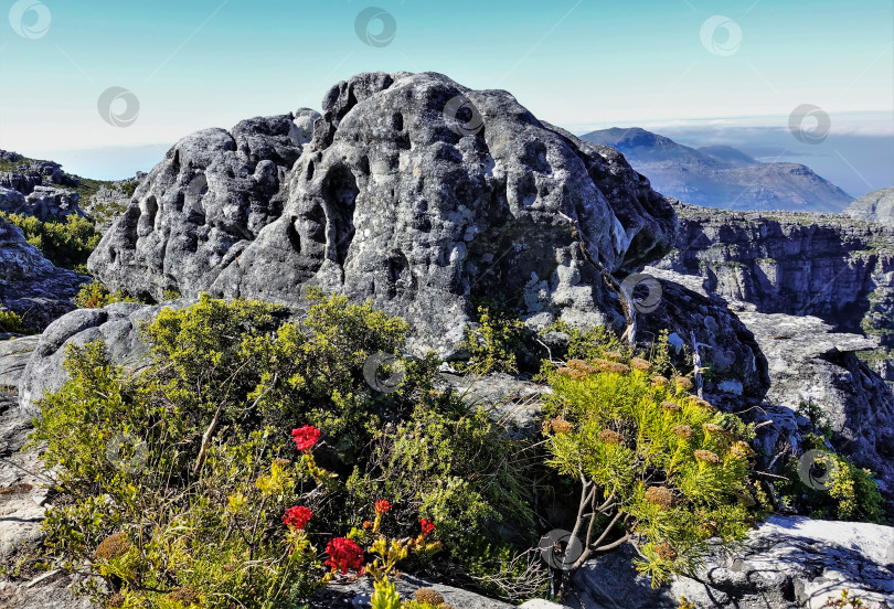 Скачать Пейзаж с вершины Столовой горы в Кейптауне. фотосток Ozero