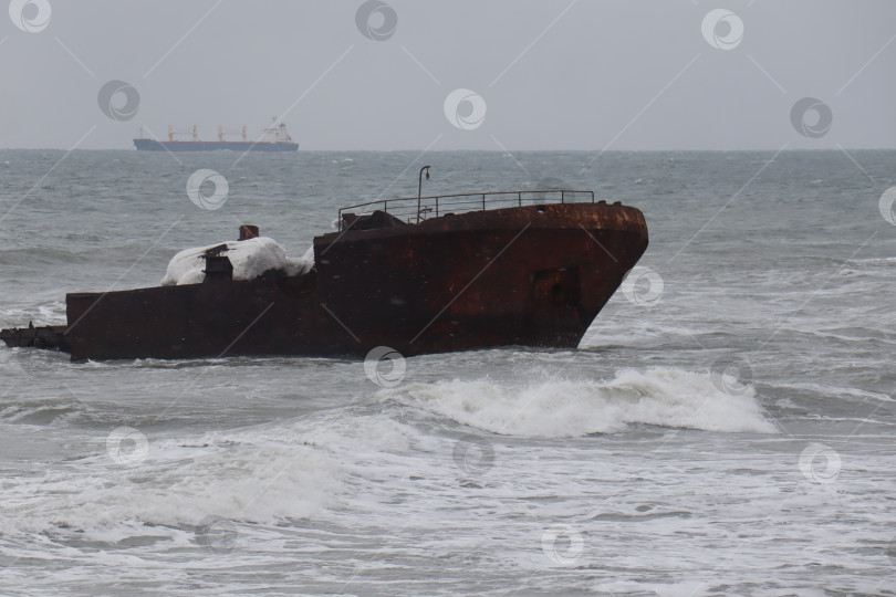 Скачать Остов судня в Японском море фотосток Ozero