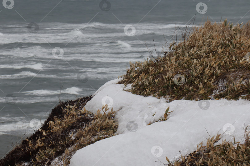 Скачать Берег Японского моря зимой фотосток Ozero