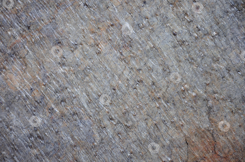 Скачать Шероховатая поверхность из натурального серого камня со следами грубой обработки с линиями и вкраплениями. фотосток Ozero
