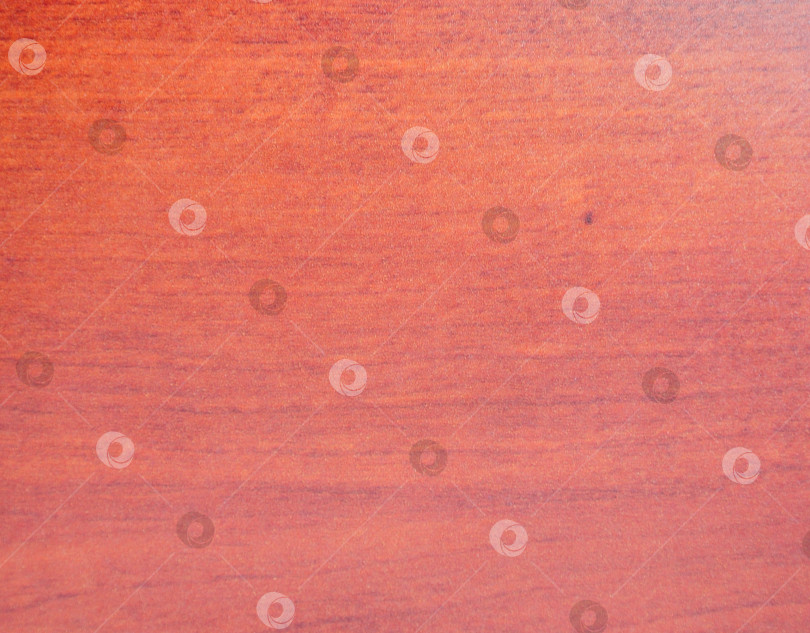 Скачать Красная вишня, текстура древесины натурального рисунка крупным планом на пиле. фотосток Ozero