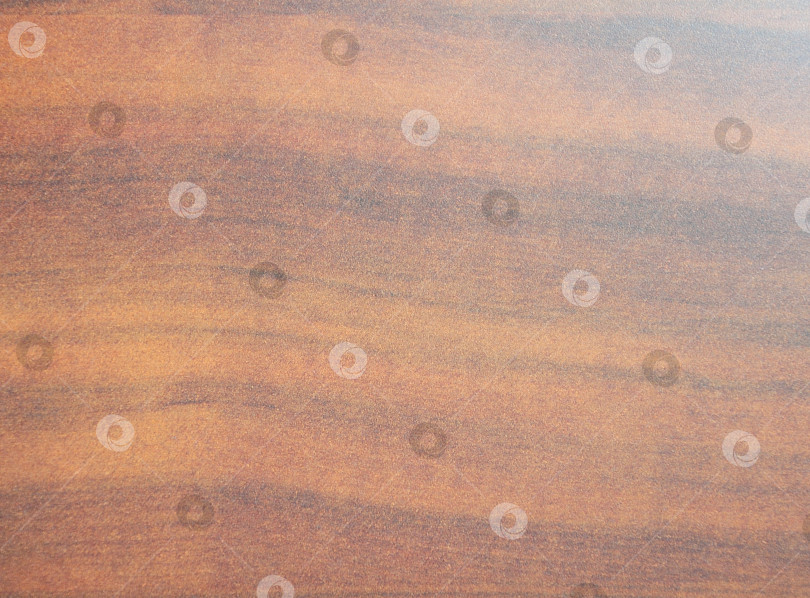 Скачать Темная ольха, текстура натурального рисунка древесины на пиле крупным планом. фотосток Ozero