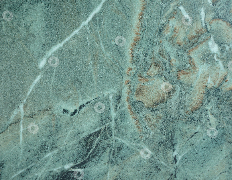 Скачать Зеленый мрамор, насыщенный рисунок натурального камня крупным планом. фотосток Ozero