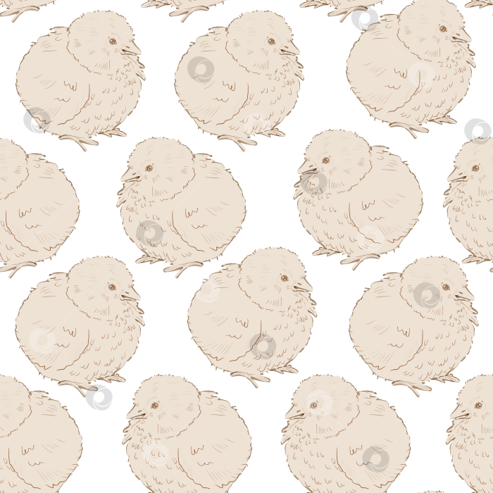 Скачать Узор с милыми цыплятами на белом фоне.Акварельная иллюстрация желтого новорожденного цыпленка. Пасхальный мотив. Пушистый цыпленок. Подходит для открыток, упаковок, текстиля, меню, товаров эко-класса. фотосток Ozero
