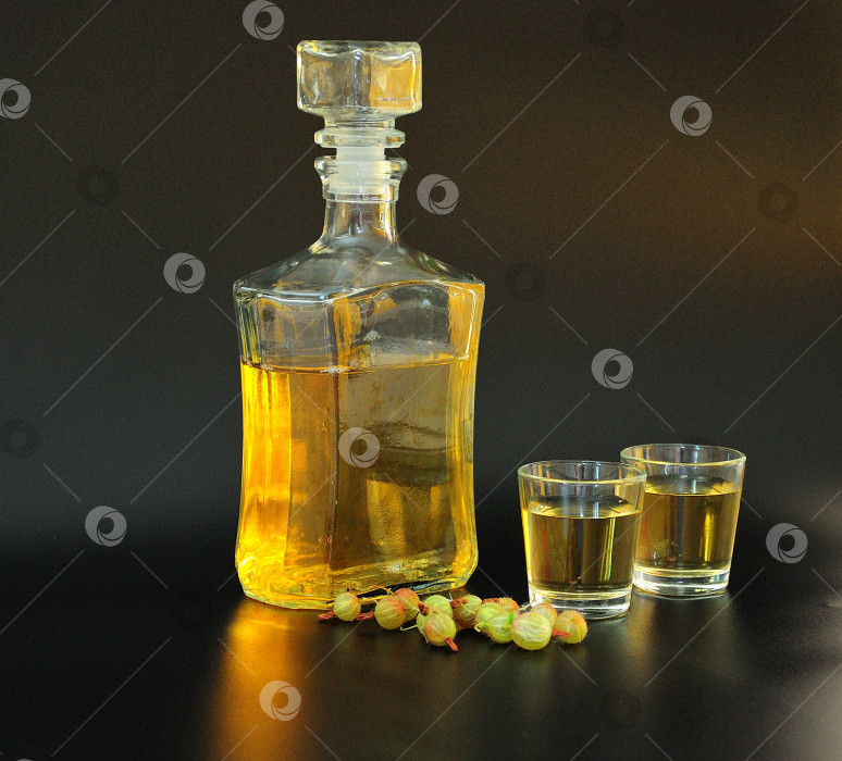 Скачать Домашний ликер из зеленого крыжовника, стеклянная бутылка и два бокала на черном фоне. фотосток Ozero