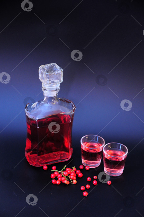 Скачать Домашний ликер из красной смородины и гроздья спелых ягод рядом с двумя бокалами и стеклянной бутылкой на черном фоне. фотосток Ozero