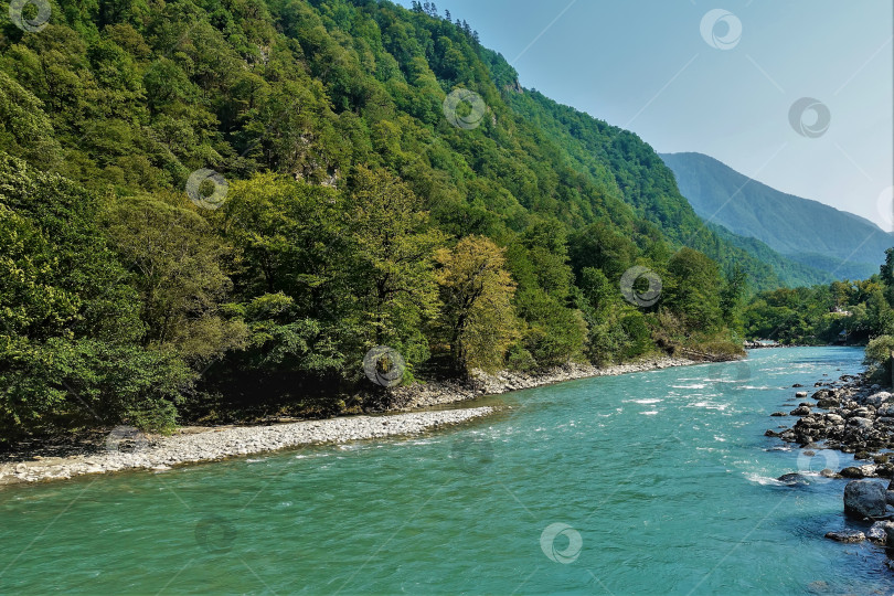 Скачать Бирюзовая река течет между лесистыми горными склонами. Абхазия фотосток Ozero