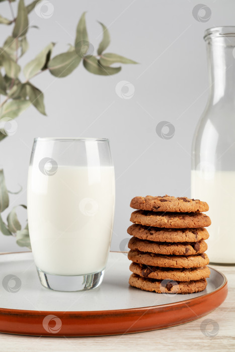 Скачать Стакан молока и печенье на тарелке на светлом фоне фотосток Ozero