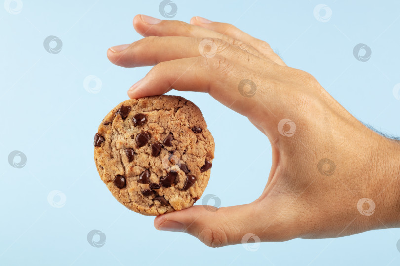 Скачать Мужская рука, держащая шоколадное печенье на синем фоне. фотосток Ozero