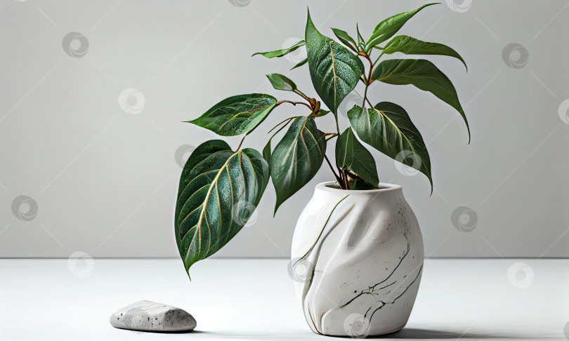 Скачать Зеленое растение оставляют в керамической вазе на белом столе, генеративный ИИ фотосток Ozero