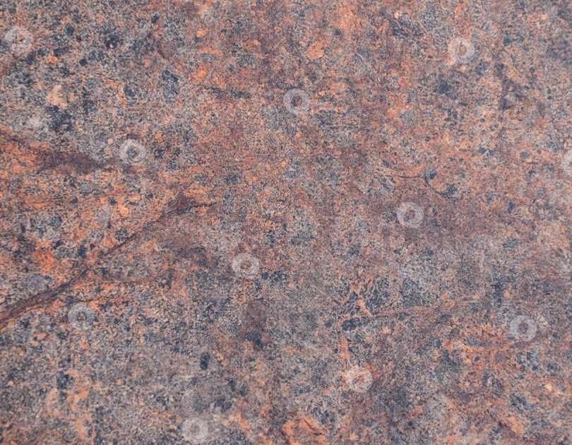 Скачать Коричневый гранит, полированная поверхность натурального камня с черными прожилками и вкраплениями крупным планом. фотосток Ozero