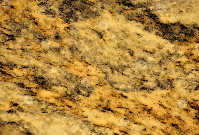 Скачать Золотистый мрамор, полированная поверхность из натурального камня с черными прожилками и вкраплениями. фотосток Ozero