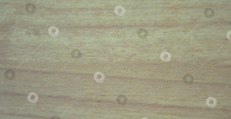 Скачать Дерево, бледно-зеленый текстурный узор крупным планом. Фон. Снимок крупным планом. фотосток Ozero