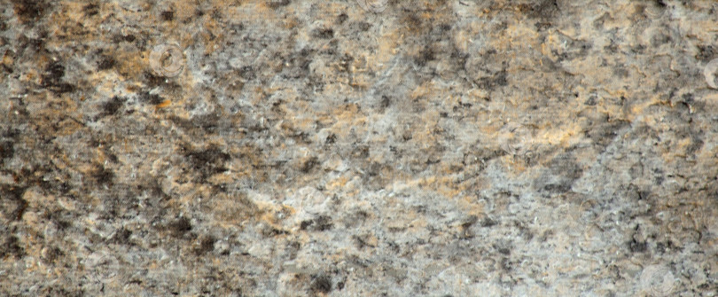 Скачать Темно-серый мрамор, крупный план полированной поверхности из натурального камня. фотосток Ozero