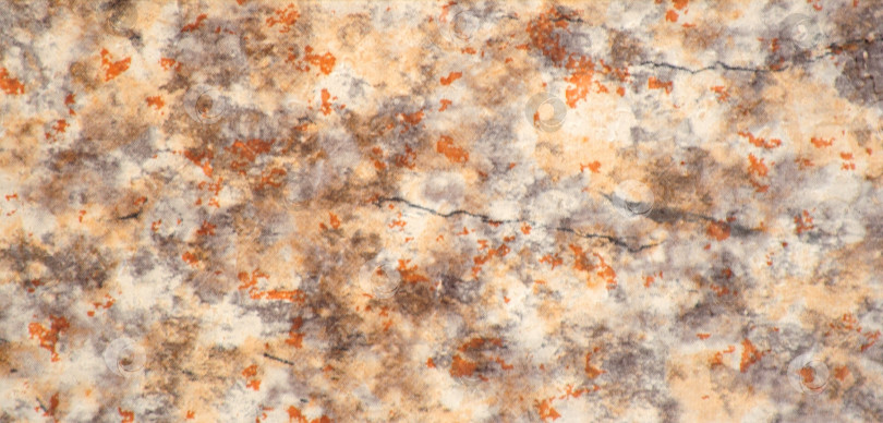 Скачать Светло-бежевый гранит с коричневыми включениями и прожилками, крупный план текстуры натурального камня. фотосток Ozero