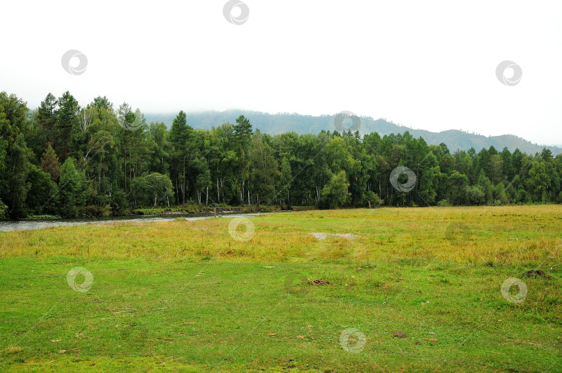 Скачать Обширная поляна на берегу небольшой речки, протекающей вдоль густого леса солнечным летним днем. фотосток Ozero