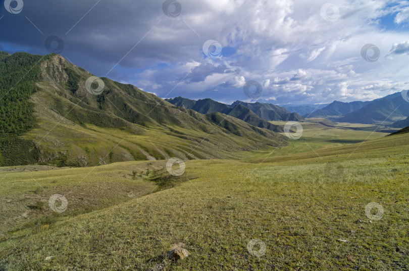 Скачать Долина в горах Алтая. фотосток Ozero