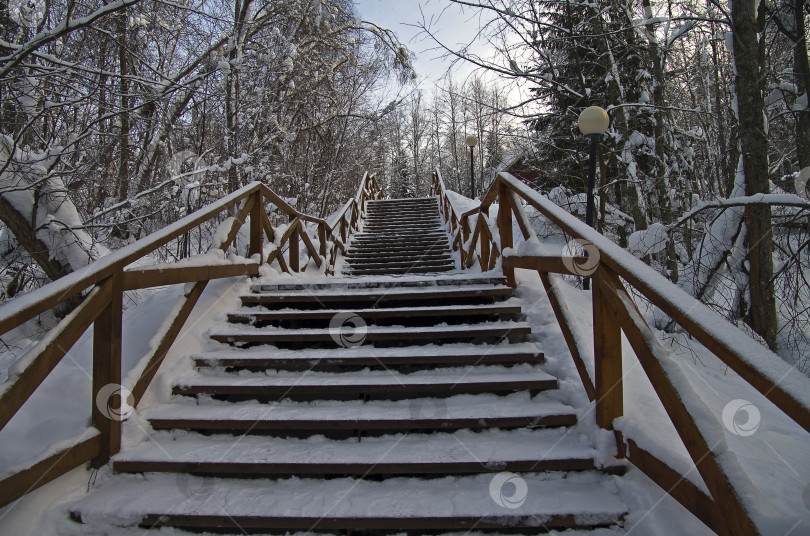 Скачать Лестница в зимнем парке. фотосток Ozero