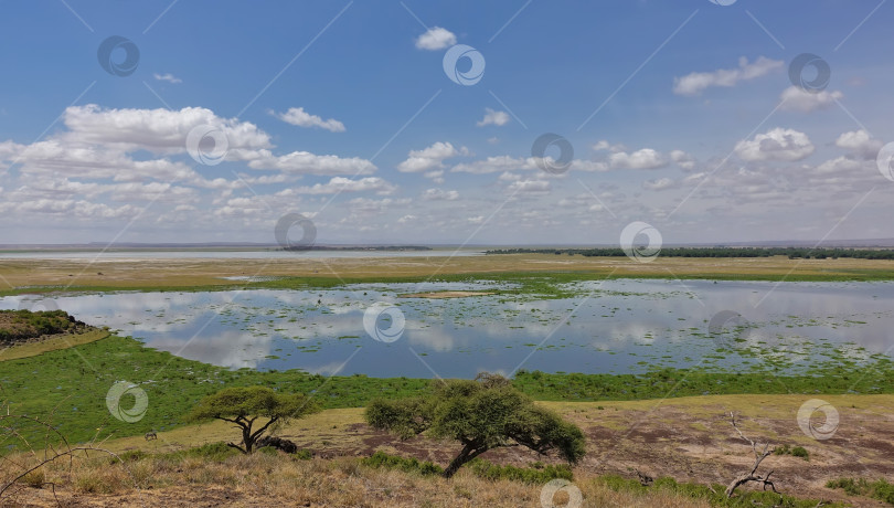 Скачать Озеро в африканской саванне. Гладкая, как зеркало, поверхность воды отражает голубое небо и облака. фотосток Ozero