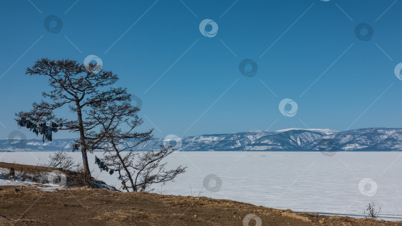 Голые женщины на озере байкал (57 фото) - порно и эротика nordwestspb.ru