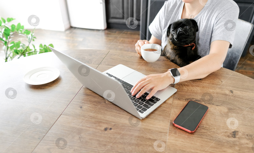 Скачать женщина-фрилансер, работающая дома за ноутбуком и держащая на коленях свою любимую собаку, чтобы составить ей компанию. фотосток Ozero