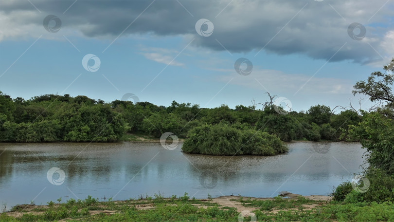 Скачать В озере есть островок, заросший зеленым кустарником. фотосток Ozero