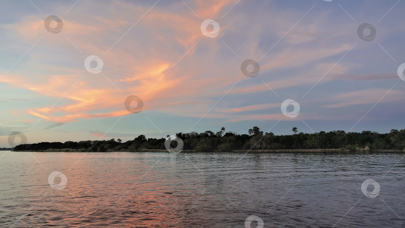 Скачать Река Замбези течет спокойно. В голубом закатном небе розово-золотые облака. фотосток Ozero