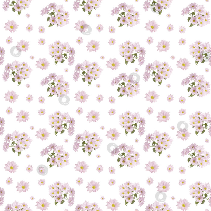 Скачать Бесшовный узор из розовых хризантем. Цветочная композиция. фотосток Ozero