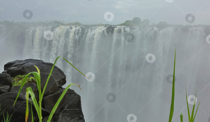 Скачать Мощные потоки водопада Виктория низвергаются в бездну. фотосток Ozero
