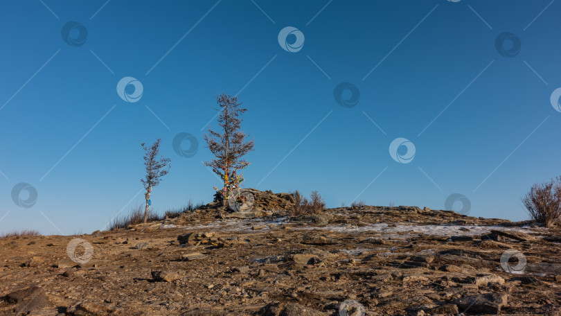 Скачать На скалистом холме есть участки снега, скудная растительность. фотосток Ozero