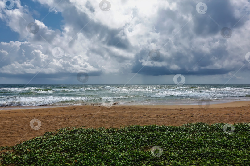 Скачать Песчаный пляж на берегу Индийского океана. Шри-Ланка фотосток Ozero