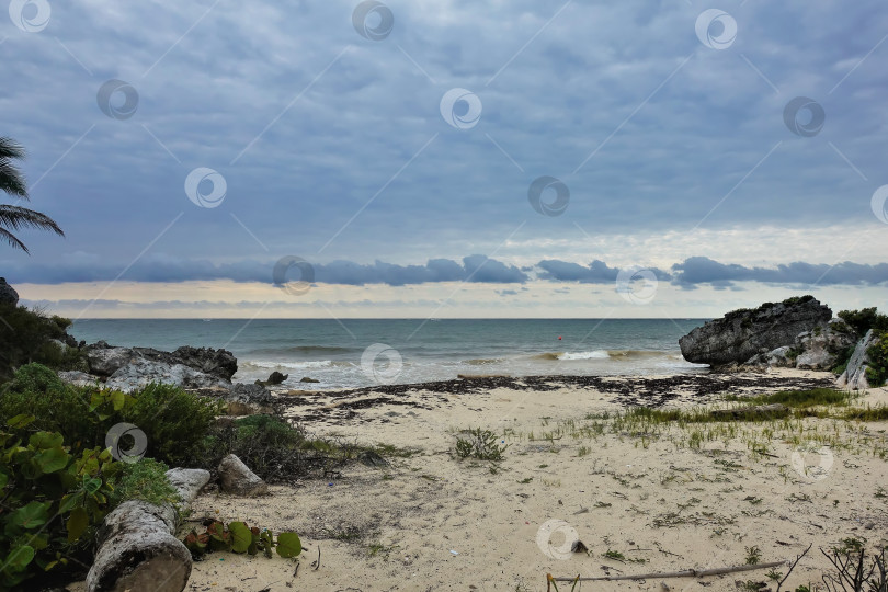 Скачать Дикий пляж недалеко от древнего города майя Тулум. Облачный. фотосток Ozero