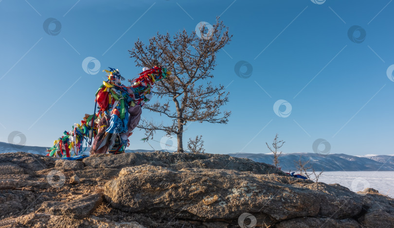 Скачать На скалистом холме на берегу замерзшего озера стоит дерево. На оголенных ветвях завязаны разноцветные ритуальные ленты. фотосток Ozero