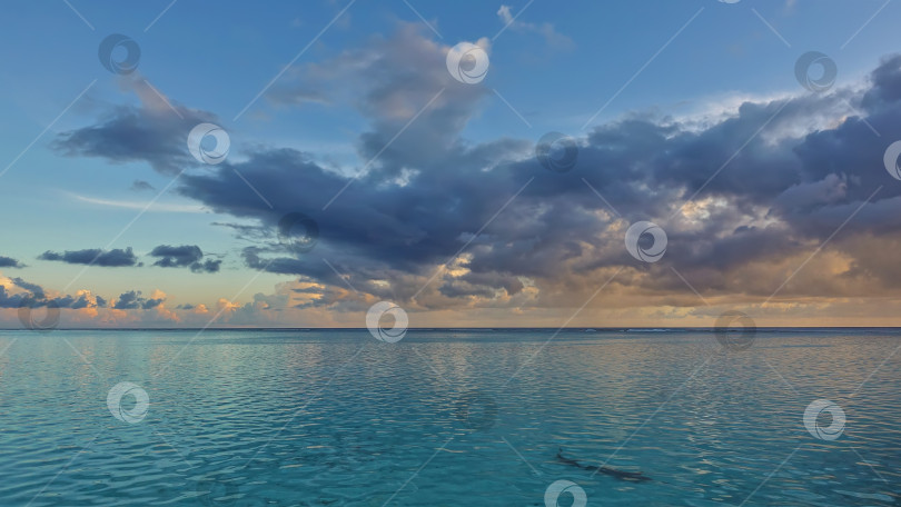 Скачать Аквамариновый океан спокоен. В прозрачной воде виден силуэт акулы. фотосток Ozero