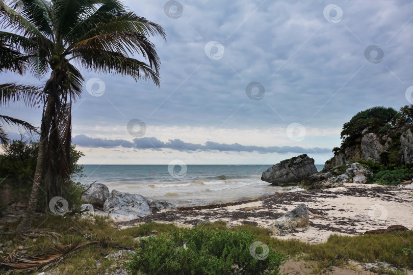 Скачать Уединенный пляж в Мексике, Тулум. Облачный. Волны прибоя накатывают на песок. фотосток Ozero