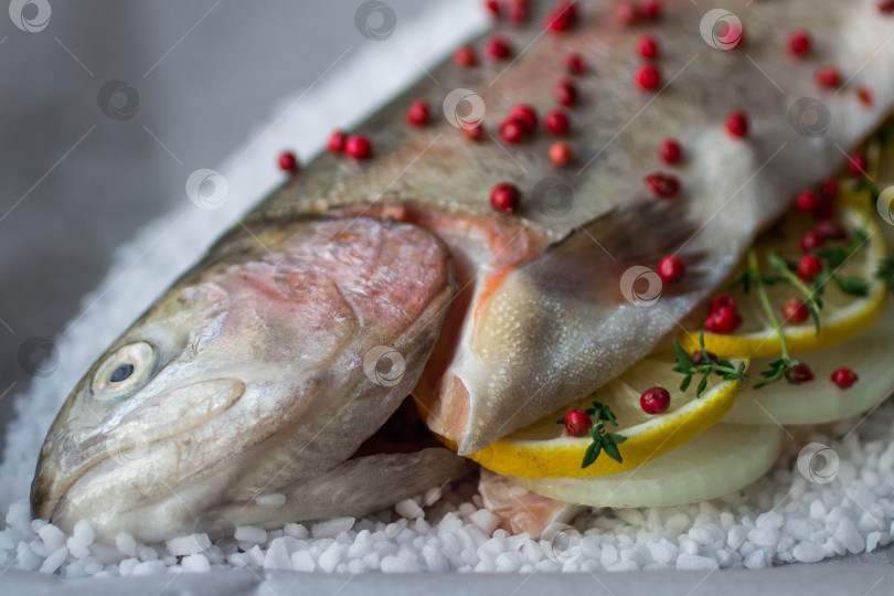 Скачать свежая форель с луком, лимоном, тимьяном и розовым перцем для запекания фотосток Ozero