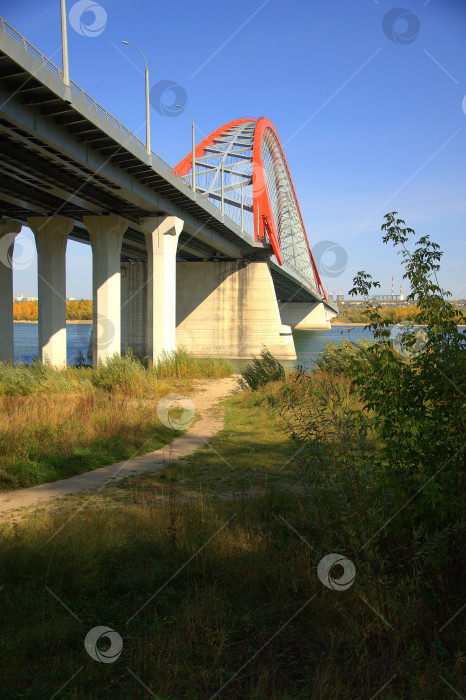 Скачать Фрагмент автомобильного моста с опорами и красной вантовой аркой, снятый с нижнего ракурса. фотосток Ozero