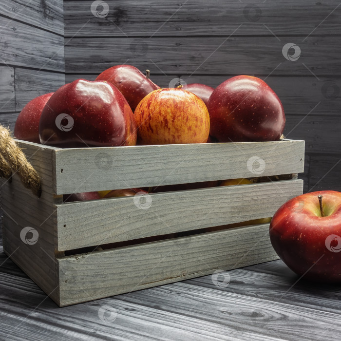 Скачать Деревянная коробка с веревочными ручками наполнена спелыми красными яблоками фотосток Ozero