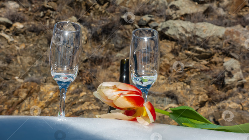 Скачать Два пустых чистых бокала для вина стоят на снегу, рядом с ними лежит ярко-красно-желтый тюльпан и бутылка шампанского. фотосток Ozero