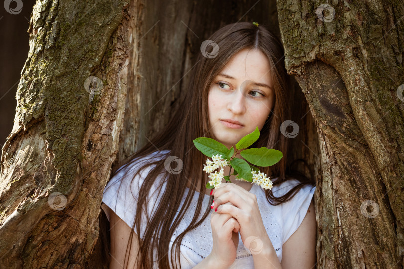 Скачать молодая женщина на фоне дерева фотосток Ozero
