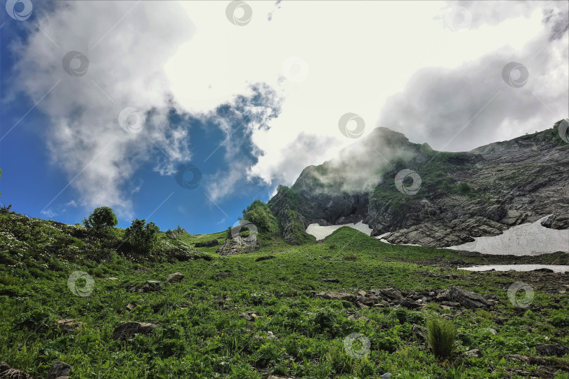 Скачать Альпийские луга в горах Кавказа.  Россия. Красная Поляна фотосток Ozero