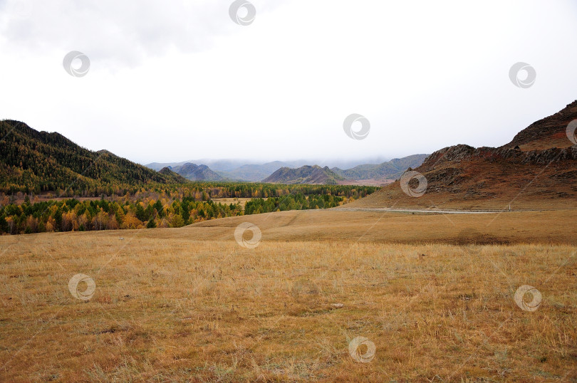 Скачать Осиновый луг у подножия каменной горы в холмистой степи перед прохождением грозового фронта. фотосток Ozero