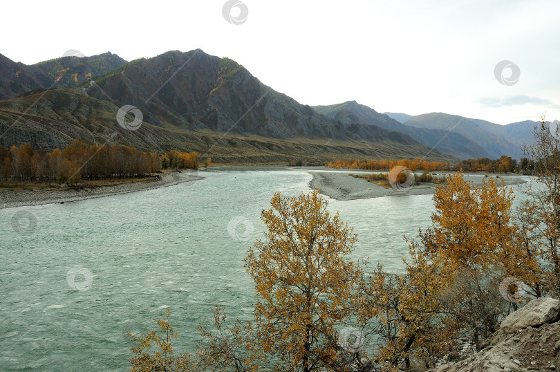 Скачать Красивая бурная река, текущая по осенней долине, окруженной горными хребтами. фотосток Ozero