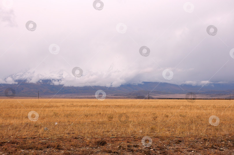 Скачать Электрические столбы, стоящие в осенней степи у высоких гор, покрытых туманом и снегом. фотосток Ozero