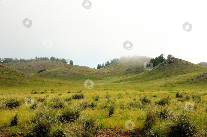Скачать Поросшие травой кочки между скалистыми холмами, вершины которых покрыты легким туманом. фотосток Ozero