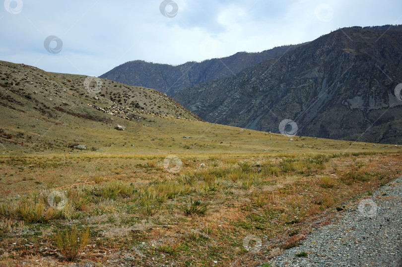 Скачать Склон небольшого камня в долине у подножия горного хребта. фотосток Ozero