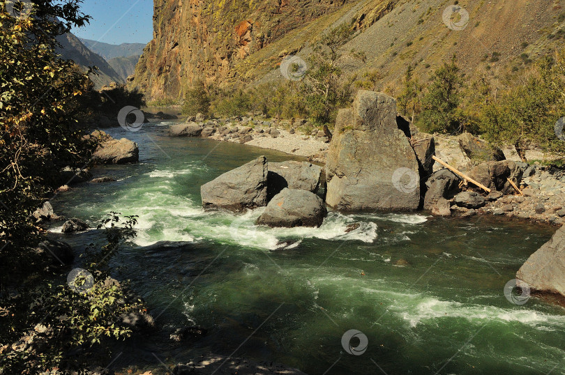 Скачать Кристально чистая горная река бирюзового цвета течет по дну каньона, огибая каменные валуны. фотосток Ozero