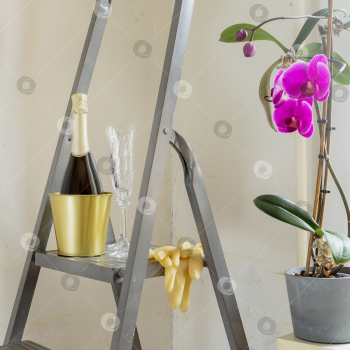 Скачать Романтический натюрморт с бутылкой шампанского, бокалами на стремянке фотосток Ozero